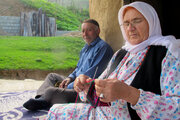 ۵ هزار خانوار روستایی آذربایجان‌غربی از بیمه بازنشستگی برخوردار هستند