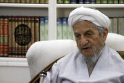 ظریف: آیت‌الله صانعی از پیشتازان انقلاب اسلامی بود  