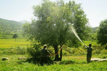 ۱۰۰ درصد آفتکش های وارداتی توسط بخش خصوصی تامین می شود