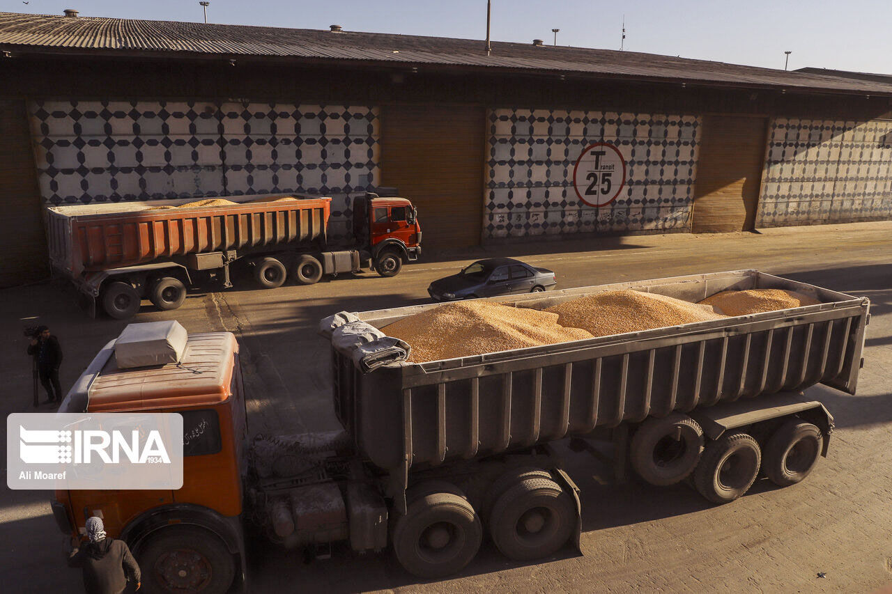 خریدهای توافقی محصولات کشاورزی در کرمانشاه از مرز ۲۶ هزار تن گذشت خریدهای توافقی محصولات کشاورزی در کرمانشاه از مرز ۲۶ هزار تن گذشت