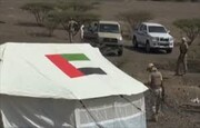 مقام دولت مستعفی یمن: امارات همچنان در یمن حضور دارد
