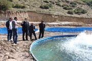 بخشی از خسارات وارده به استخرهای پرورش ماهی استان اردبیل تامین شد 