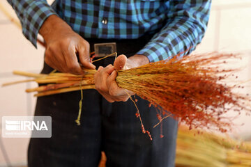 Broom-making craft in northeast Iran