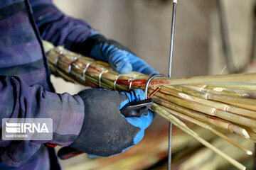 Broom-making craft in northeast Iran