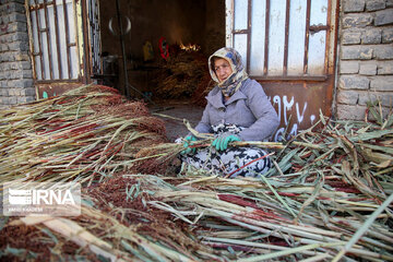 Broom-making craft in northeast Iran