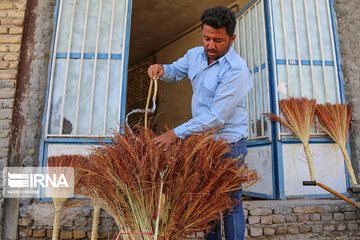 Broom-making craft in northeast Iran