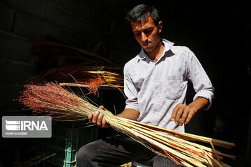 Broom-making craft in northeast Iran