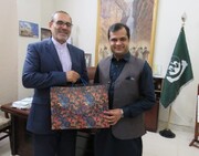 Iran, Pakistan discuss promotion of cooperation between border provinces