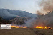 آتش سوزی در عرصه های طبیعی خراسان‌شمالی ۳۸ درصد کاهش یافت