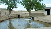 نیمی از مزارع شهرستان سامان با آب قنات آبیاری می‌شود 