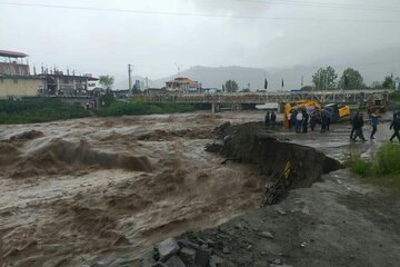 نماینده تالش: برای گسیل امکانات به مناطق سیلزده تلاش می‌کنم