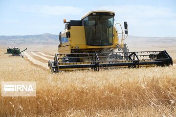 راهبرد افزایش تولید گندم در خمین کارنامه قبولی گرفت