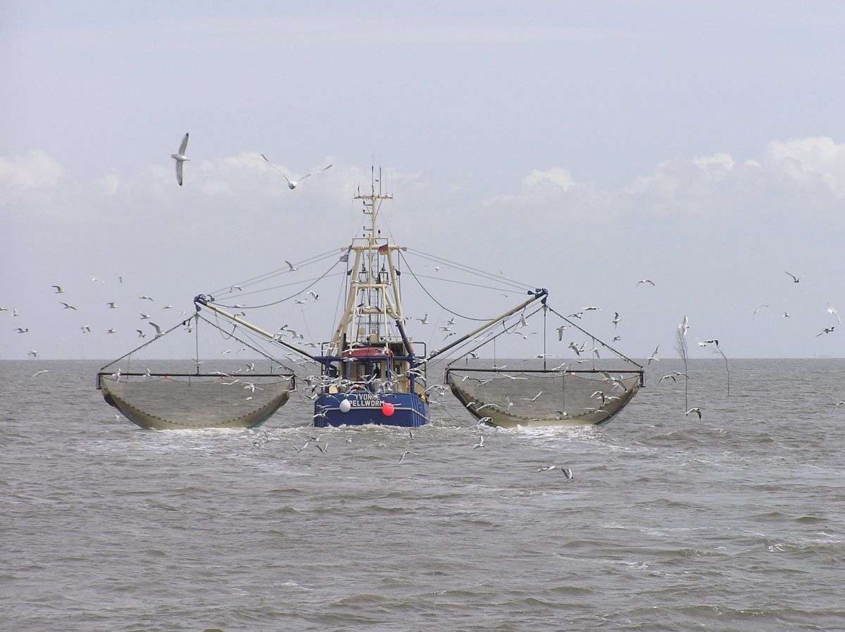 صید ترال توسط کشتی‌های صید صنعتی خارجی ممنوع است