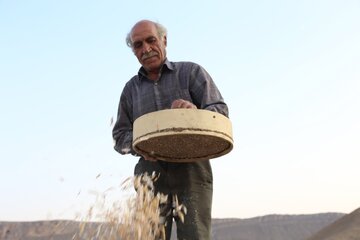 روستای گورچین قلعه