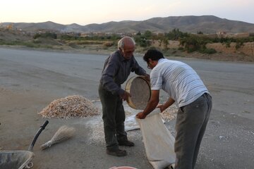 روستای گورچین قلعه