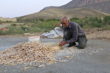 روستای گورچین قلعه