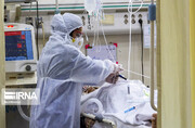 مرگ ۱۶ بیمار جدید رکورد جانباختگان کرونایی قم را شکست