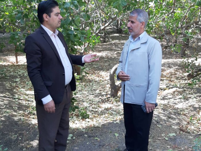 آب، راه و امنیت، سه چالش باغستان سنتی شهر قزوین 7