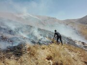 آتش‌سوزی در مراتع روستای "قازان‌کندی" تکاب مهار شد