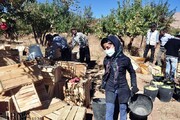 بازرسی‌ بهداشتی از انبارها و باغ‌های سیب سمیرم تشدید می‌شود