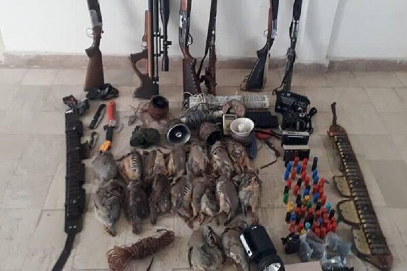 هشت شکارچی متخلف در اردبیل دستگیر شدند