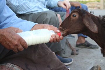 گردشی در روستای خیرآباد سمنان