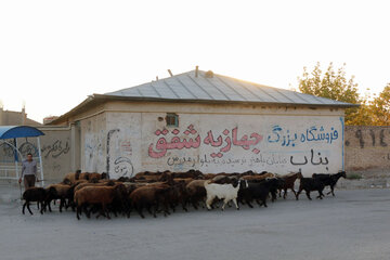 روستای شهیدپرور ورجوی