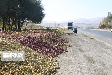 حکایت ناخوشایند سیب کنار جاده‌ای در آذربایجان‌غربی