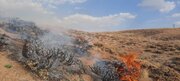 عاملان آتش‌سوزی پوشش گیاهی تالاب مهارلو به ۸ ماه حبس محکوم شدند