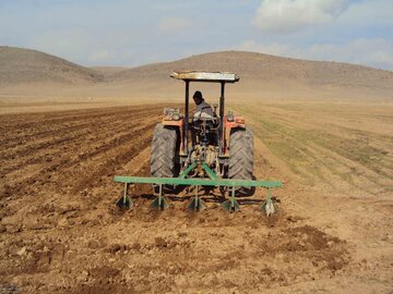 ۱۰ هزار هکتار از زمین‌های کشاورزی ورامین به زیر کشت گندم رفت