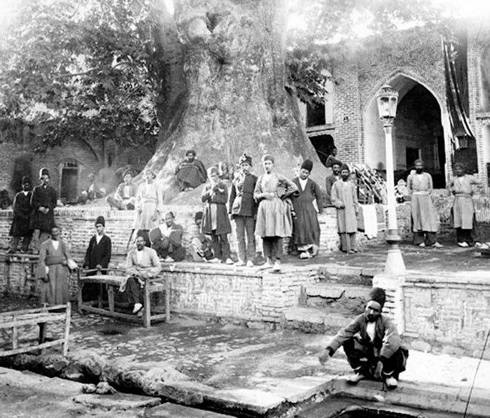 درخت 800 صدساله امام‌زاده صالح که دیگر خبری از آن نیست 