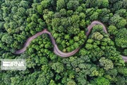 Climate change brings tardy autumn in Golestan province