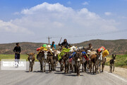 افزایش ۵۲ درصدی حقوق مستمری‌بگیران روستایی و عشایر