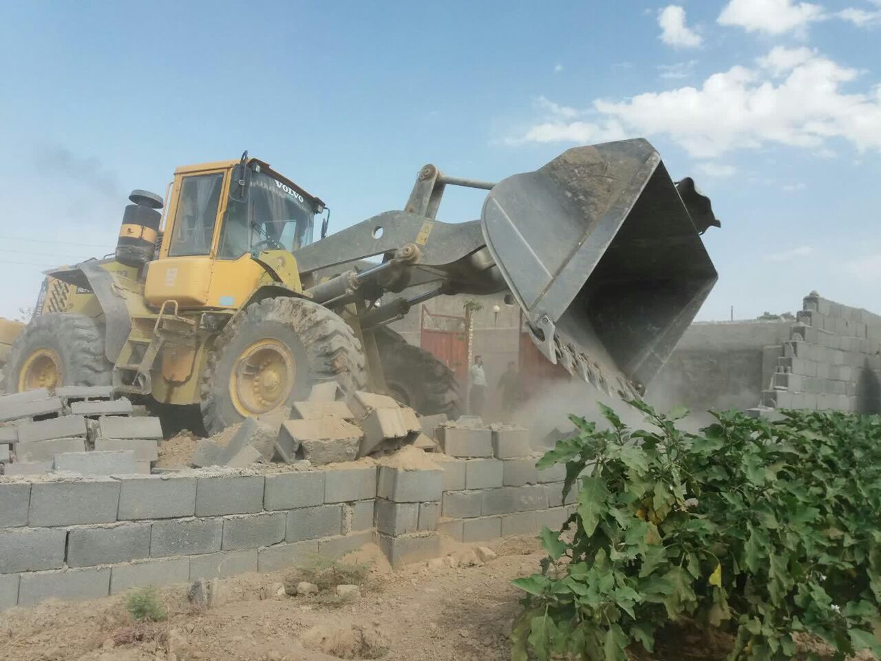 ۷۳ هزار مترمربع از اراضی کشاورزی پردیس آزاد شد ۷۳ هزار مترمربع از اراضی کشاورزی پردیس آزاد شد