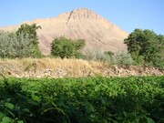  کَهَک، روستایی که با اقتصاد مقاومتی جان دوباره گرفت 