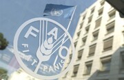 فائو کی آب و ہوا کے اقدامات کی فنانسنگ کیلئے ایران کی کوششوں کی حمایت