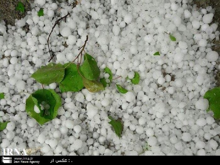 همه راه‌های ارتباطی استان بوشهر باز است 2