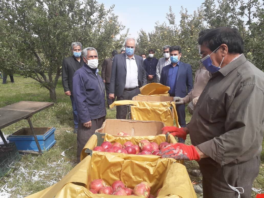 فرماندار: مراغه مستعد ایجاد صنایع تبدیلی است