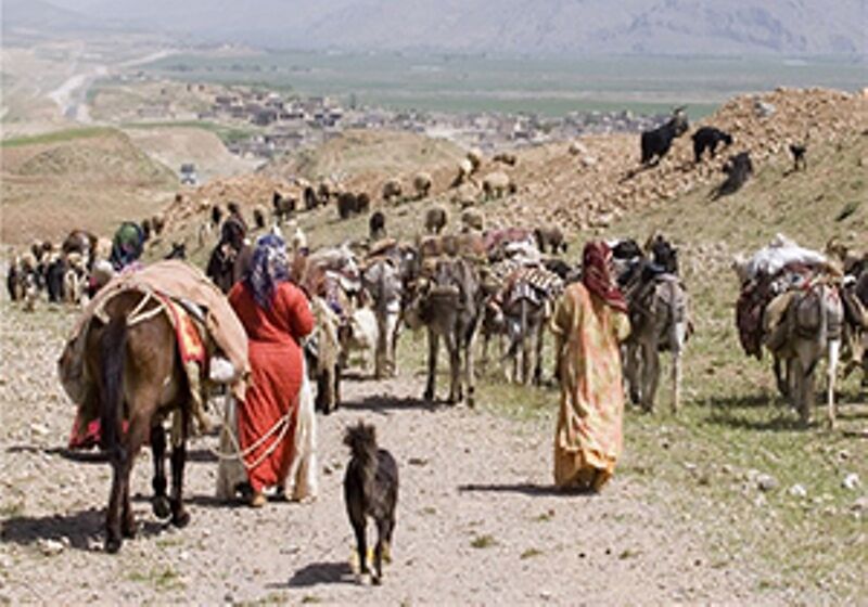 کوچ پاییزه عشایر قشقایی به شهرستان خنج آغاز شد