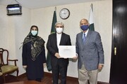 Iran envoy, Pakistan foreign affairs committee Chairman discuss parliamentary cooperation