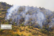 کاهش ۸۲ درصدی آتش‌سوزی در پارک ملی گلستان
