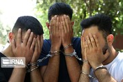 اعضای باند سرقت از ۲۱منزل و مکان دولتی در میناب دستگیر شدند