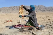 هزار خانوار عشایر گلستان تحت پوشش صندوق بیمه اجتماعی قرار گرفتند
