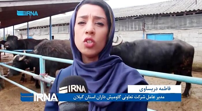 بانوی گیلانی در زمره زنان کارآفرین برتر روستایی قرار گرفت