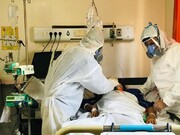 رئیس علوم پزشکی: ۱۵ بیمار کرونایی در قم جان باختند
