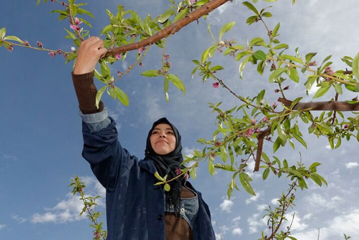 Building Rural Women’s Resilience in Wake of Covid-19: UN chief