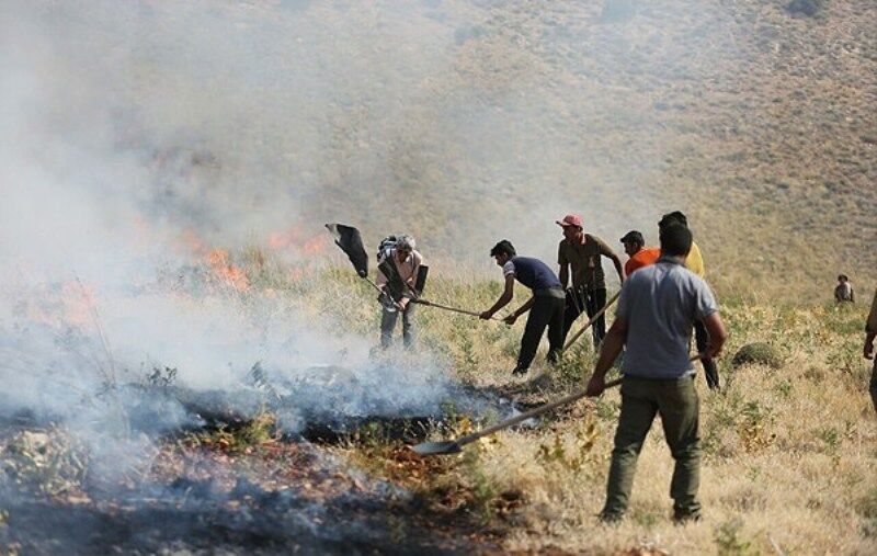 شعله‌های آتش در منطقه حفاظت شده بمو شیراز فرونشست