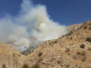 پارک ملی سالوک اسفراین دچار آتش‌سوزی شد