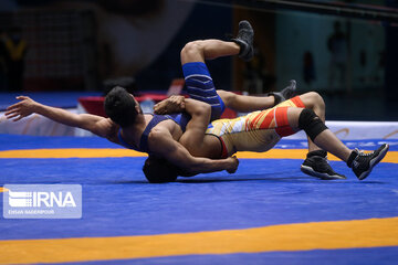 Iran's wrestling Premier League competitions