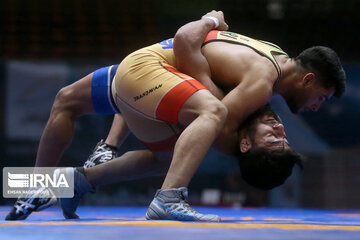 Iran's wrestling Premier League competitions